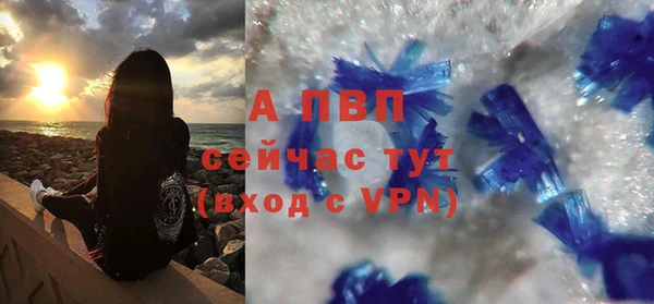 гашик Арсеньев