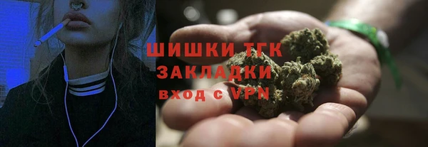 гашик Арсеньев