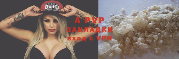 гашик Арсеньев