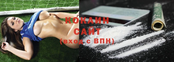 гашик Арсеньев
