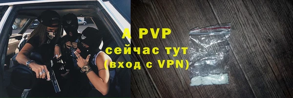 гашик Арсеньев